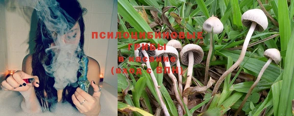 mdpv Вязники
