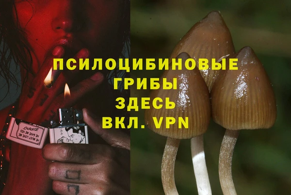 а пвп мука Вяземский